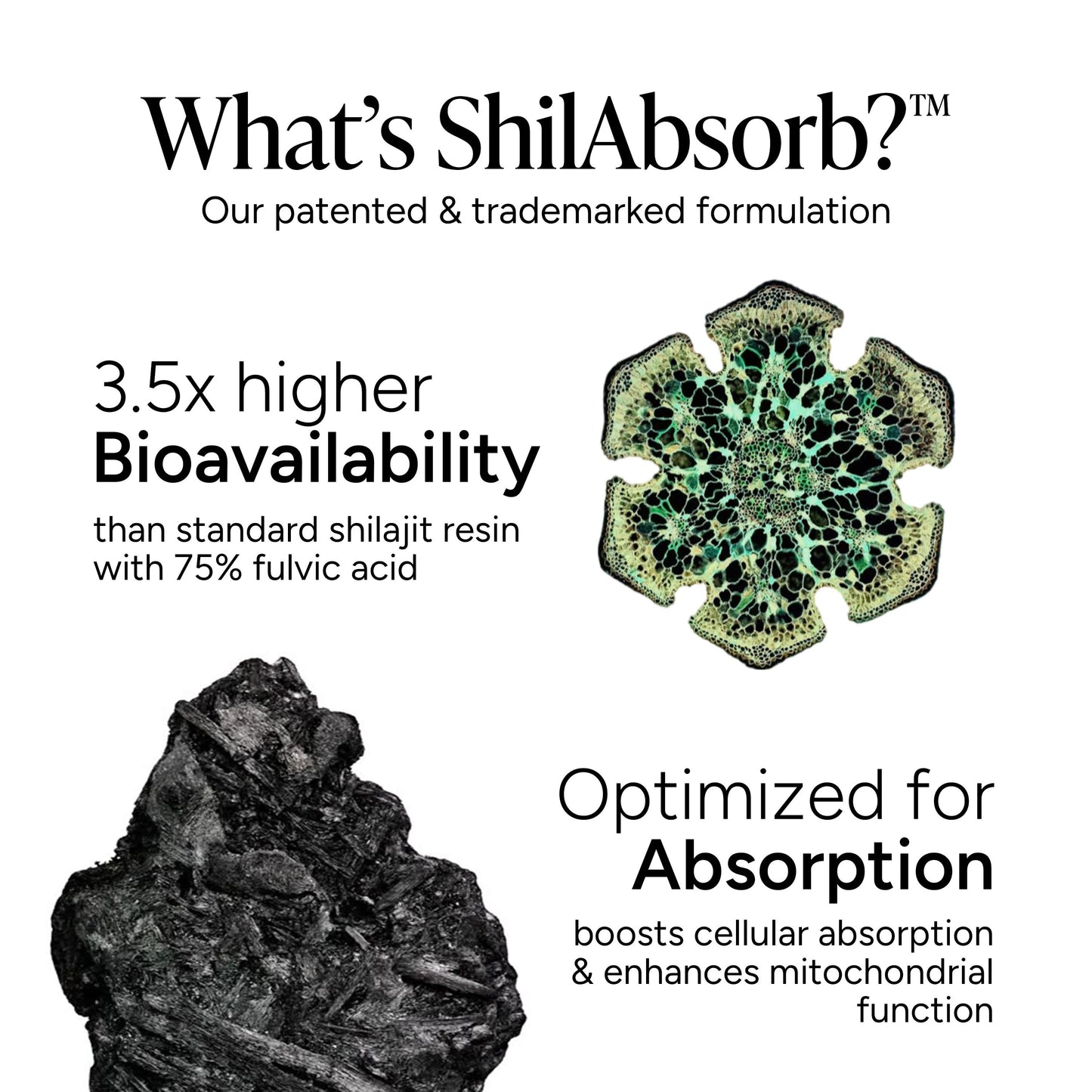 Root Labs 10-in-1 Alpha Shilajit Gummies | 4000 mg Pure Himalayan Shilajit, Tongkat Ali, Maca Root, 75% Fulvic Acid | ShilAbsorb Bioavailability Tech | Sugar-Free Vegan, 85+ Trace Minerals