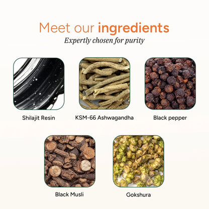 Root Labs 10-in-1 Alpha Shilajit Gummies | 4000 mg Pure Himalayan Shilajit, Tongkat Ali, Maca Root, 75% Fulvic Acid | ShilAbsorb Bioavailability Tech | Sugar-Free Vegan, 85+ Trace Minerals