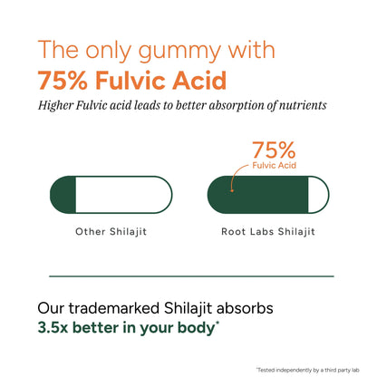 Root Labs 10-in-1 Alpha Shilajit Gummies | 4000 mg Pure Himalayan Shilajit, Tongkat Ali, Maca Root, 75% Fulvic Acid | ShilAbsorb Bioavailability Tech | Sugar-Free Vegan, 85+ Trace Minerals